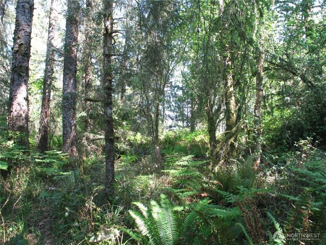 38385 Stackpole Road, Oysterville, WA 98641