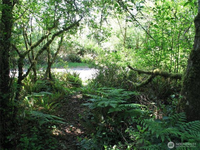 38385 Stackpole Road, Oysterville, WA 98641