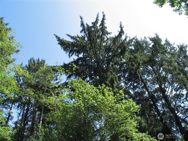 38385 Stackpole Road, Oysterville, WA 98641