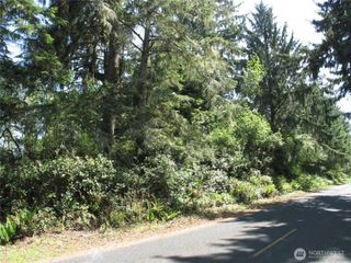 38385 Stackpole Road, Oysterville, WA 98641