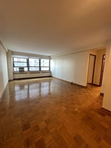 4180 N Marine Drive 1003, Chicago, IL 60613