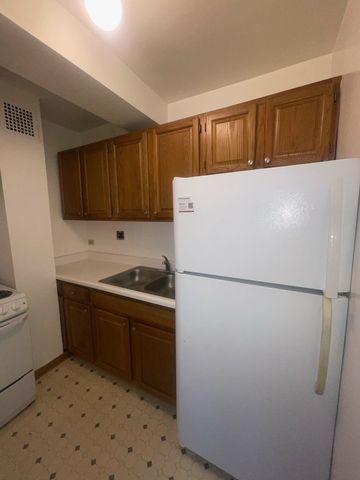 4180 N Marine Drive 1003, Chicago, IL 60613