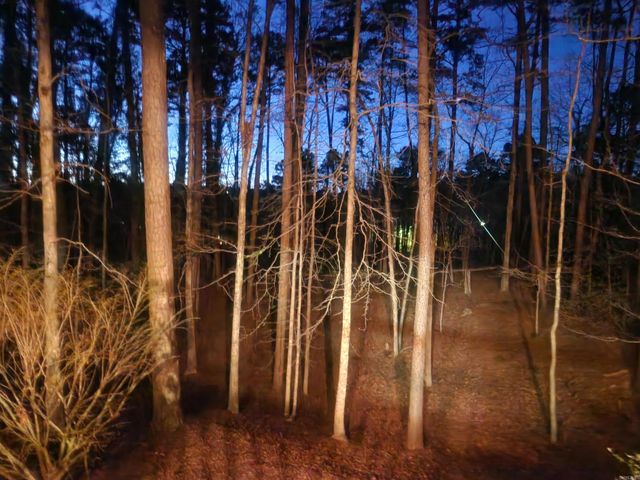 88 Arias Way, Hot Springs Village, AR 71909