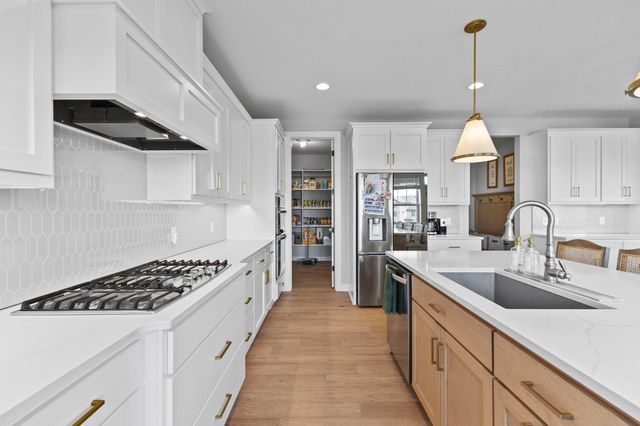 10166 Shadyview Lane N, Maple Grove, MN 55311