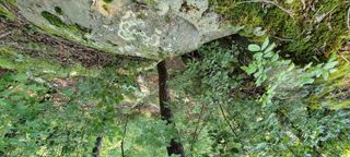 0 Preservation Drive, Lot 6, South Pittsburg, TN 37380