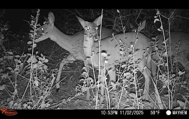 7553 Hutcheson Hill Road, Springtown, TX 76082