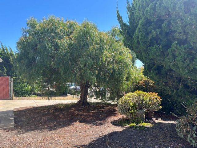 106 Mesa Lane, Santa Cruz, CA 95060