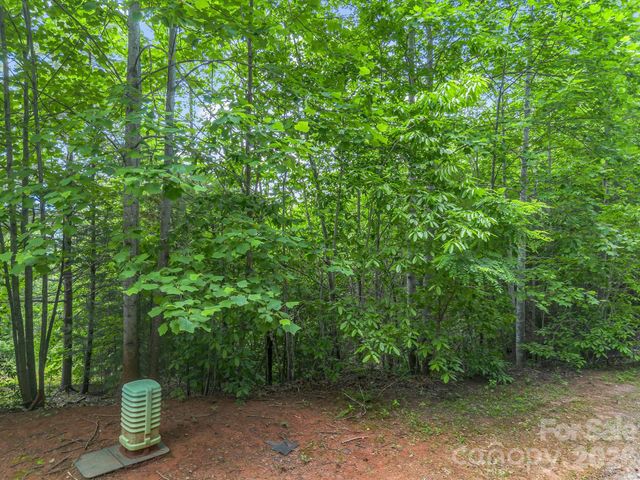 0 Sandpiper Avenue, Lake Lure, NC 28746