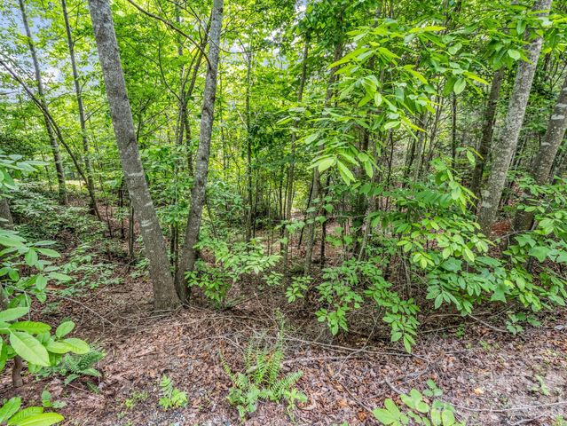 0 Sandpiper Avenue, Lake Lure, NC 28746