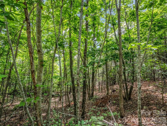 0 Sandpiper Avenue, Lake Lure, NC 28746