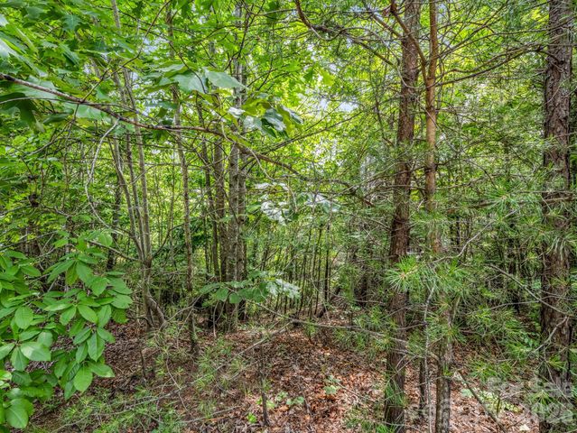 0 Sandpiper Avenue, Lake Lure, NC 28746