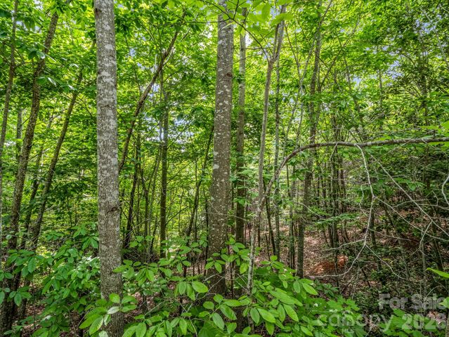 0 Sandpiper Avenue, Lake Lure, NC 28746
