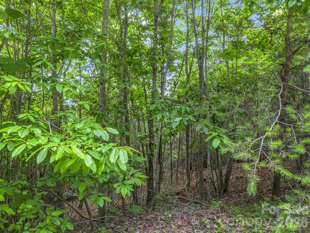 0 Sandpiper Avenue, Lake Lure, NC 28746