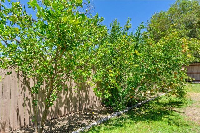415 Hidalgo Avenue, Redlands, CA 92374