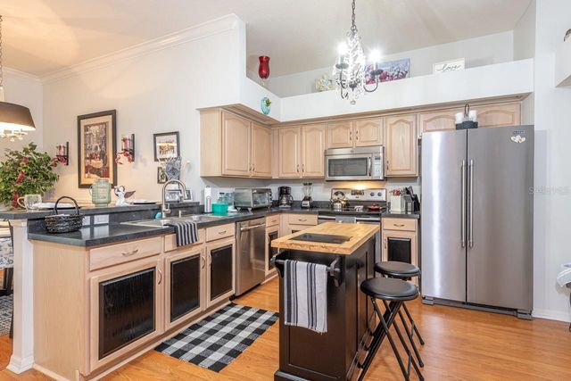 1319 BIG PINE DRIVE, Valrico, FL 33596