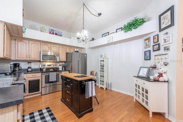 1319 BIG PINE DRIVE, Valrico, FL 33596