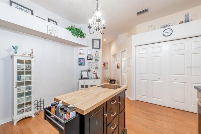 1319 BIG PINE DRIVE, Valrico, FL 33596