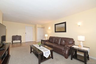 1 Birchwood Court 5F, Mineola, NY 11501