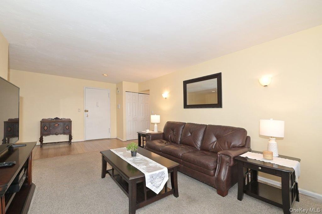 1 Birchwood Court 5F, Mineola, NY 11501