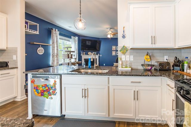 16113 Aryshire Green Court, Charlotte, NC 28273