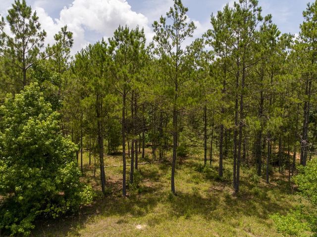 4 Benny Griffin Road, Dallardsville, TX 77351