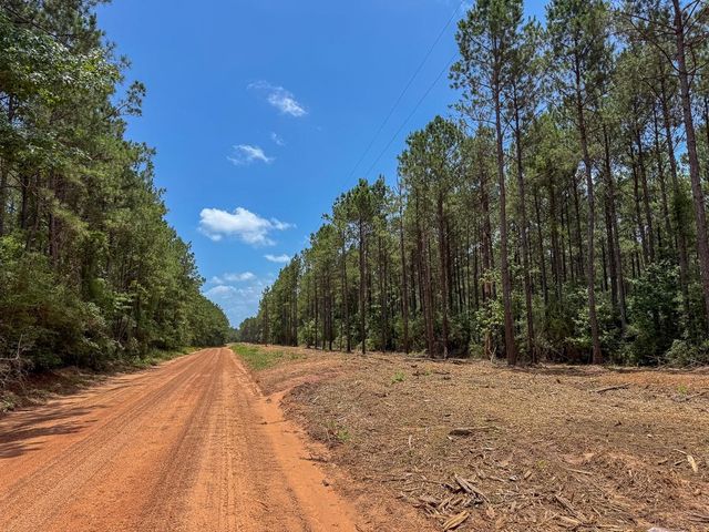 4 Benny Griffin Road, Dallardsville, TX 77351