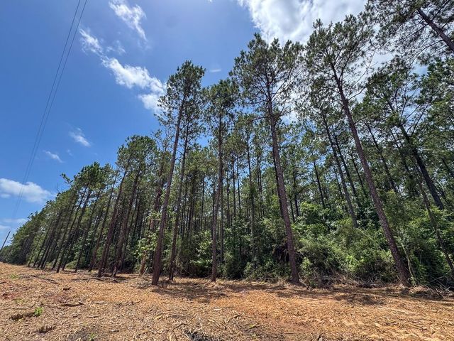 4 Benny Griffin Road, Dallardsville, TX 77351