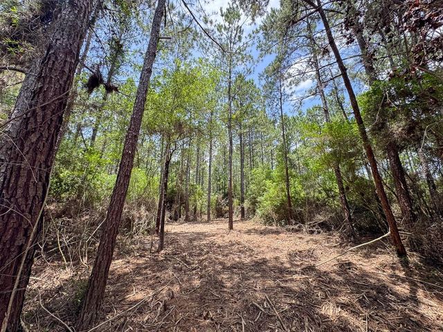 4 Benny Griffin Road, Dallardsville, TX 77351