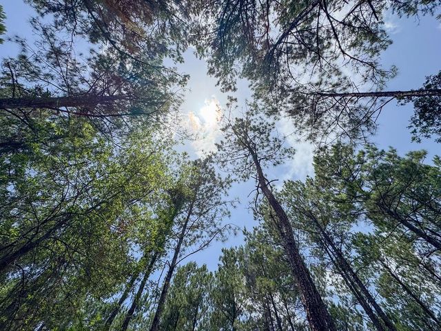 4 Benny Griffin Road, Dallardsville, TX 77351