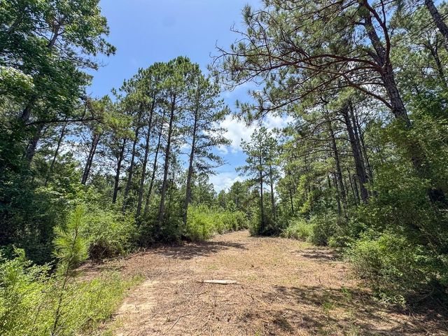 4 Benny Griffin Road, Dallardsville, TX 77351