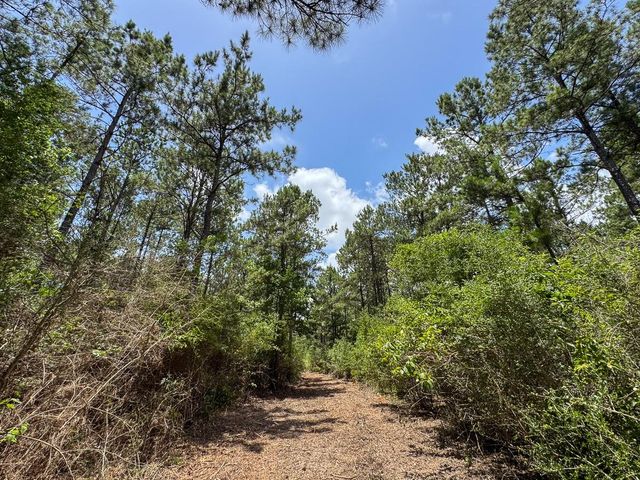 4 Benny Griffin Road, Dallardsville, TX 77351