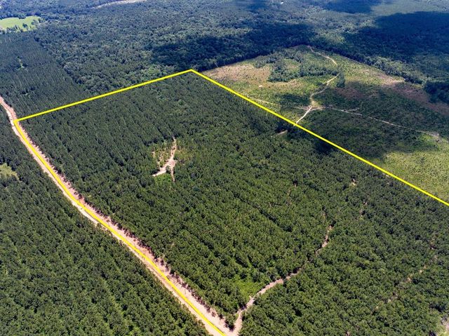 4 Benny Griffin Road, Dallardsville, TX 77351