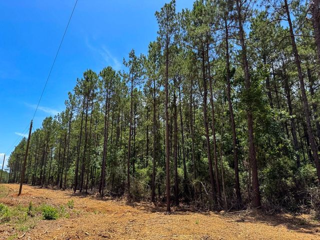 4 Benny Griffin Road, Dallardsville, TX 77351