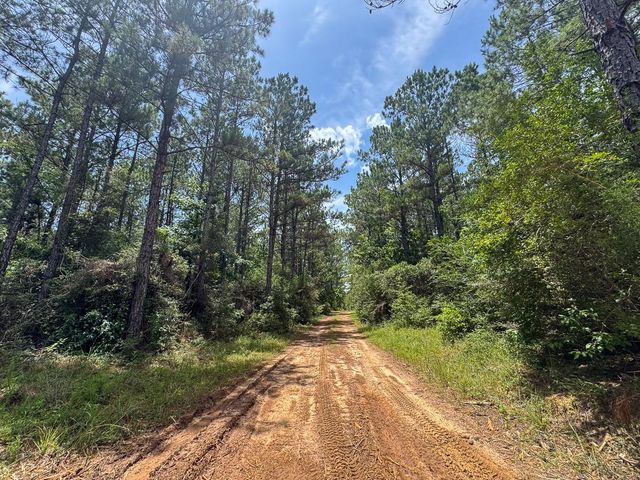 4 Benny Griffin Road, Dallardsville, TX 77351