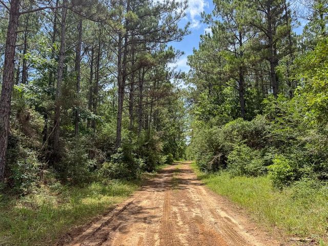 4 Benny Griffin Road, Dallardsville, TX 77351