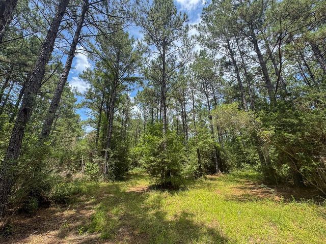 4 Benny Griffin Road, Dallardsville, TX 77351