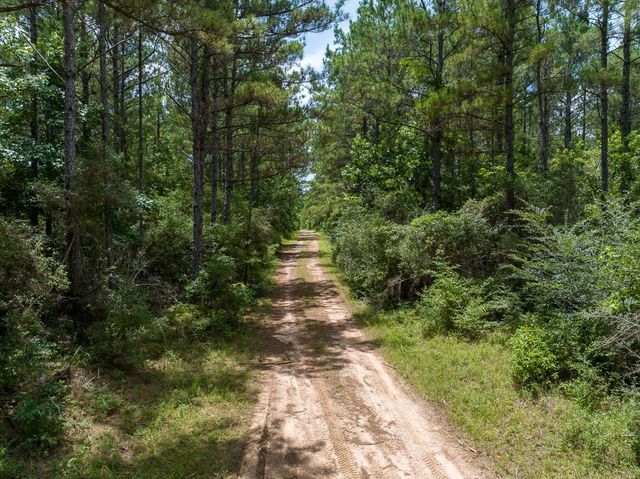 4 Benny Griffin Road, Dallardsville, TX 77351