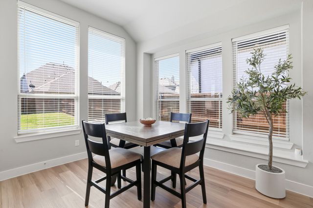 2218 Terry Avenue, Melissa, TX 75454