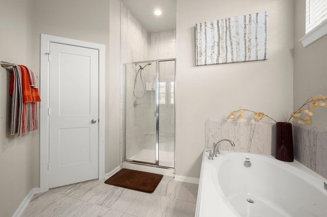 255 S Spotted Fern Drive, Montgomery, TX 77316