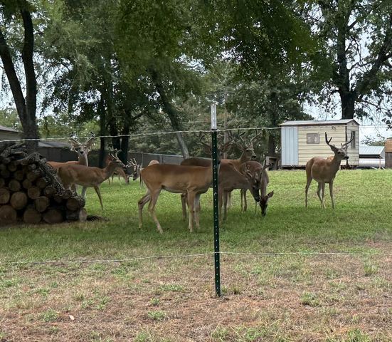 18251 Rocky Point Run, Mabank, TX 75156