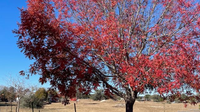 190 Gunther, Pipe Creek, TX 78063