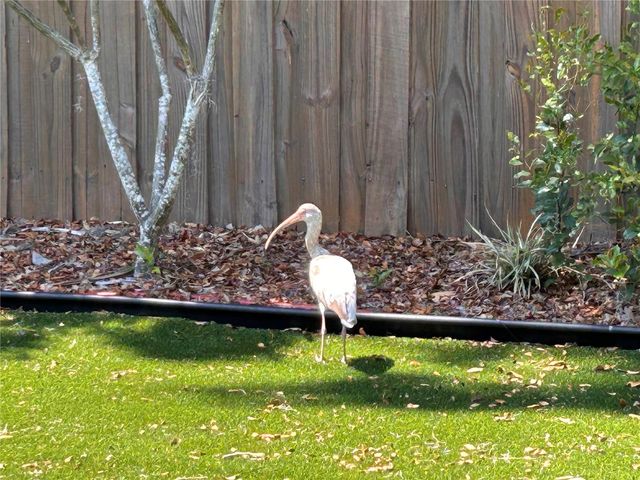 6029 WYOMING AVENUE, New Port Richey, FL 34653