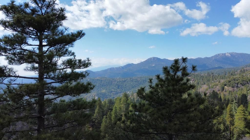 Image 1 of property listing at 0 Green Craig, Idyllwild, CA 92549