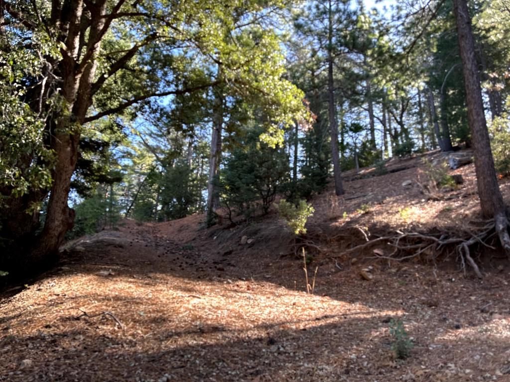 Image 10 of property listing at 0 Green Craig, Idyllwild, CA 92549
