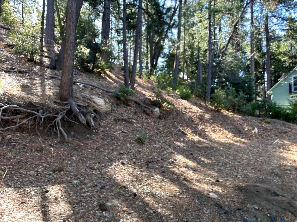 Image 11 of property listing at 0 Green Craig, Idyllwild, CA 92549