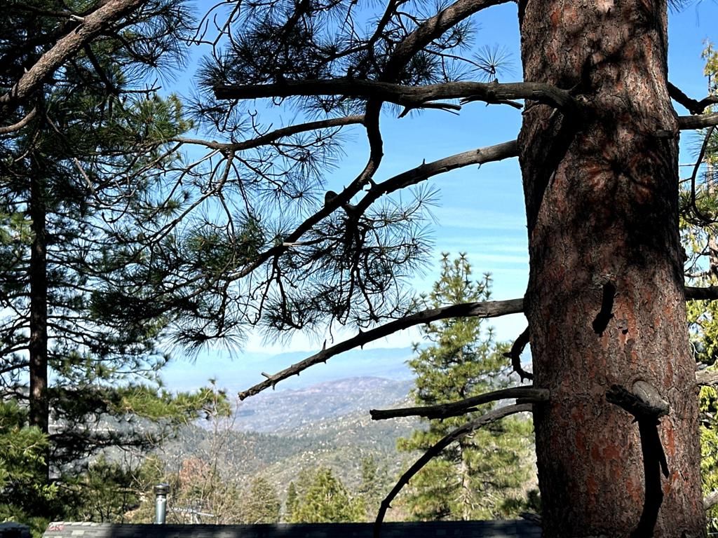 Image 13 of property listing at 0 Green Craig, Idyllwild, CA 92549