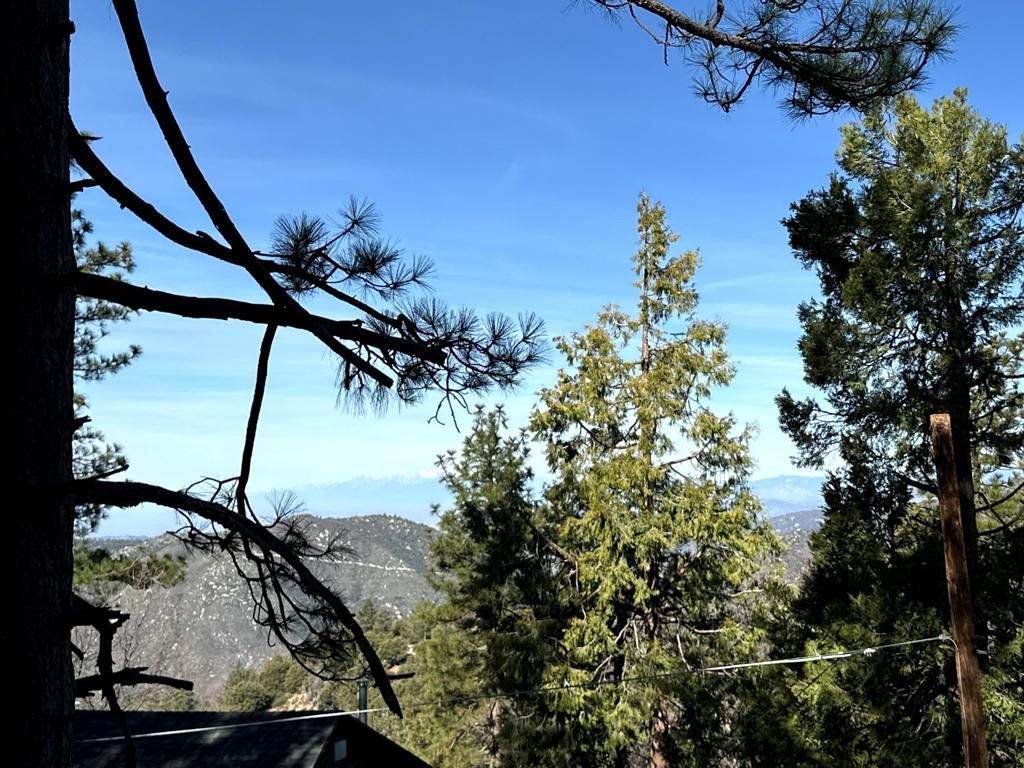 Image 14 of property listing at 0 Green Craig, Idyllwild, CA 92549