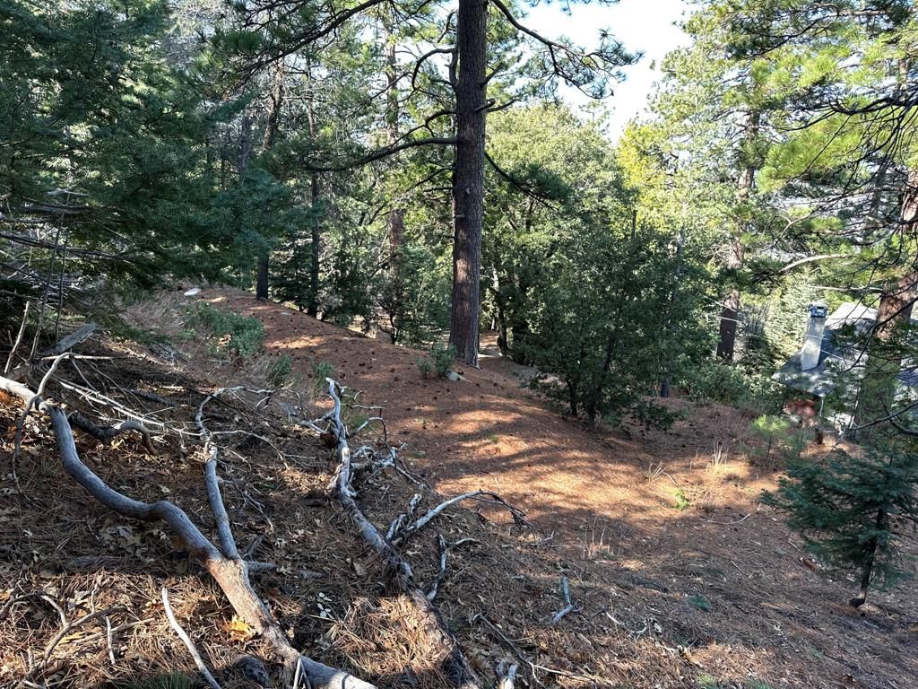 Image 15 of property listing at 0 Green Craig, Idyllwild, CA 92549