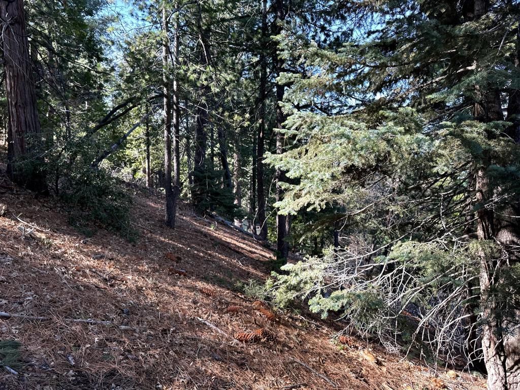 Image 16 of property listing at 0 Green Craig, Idyllwild, CA 92549