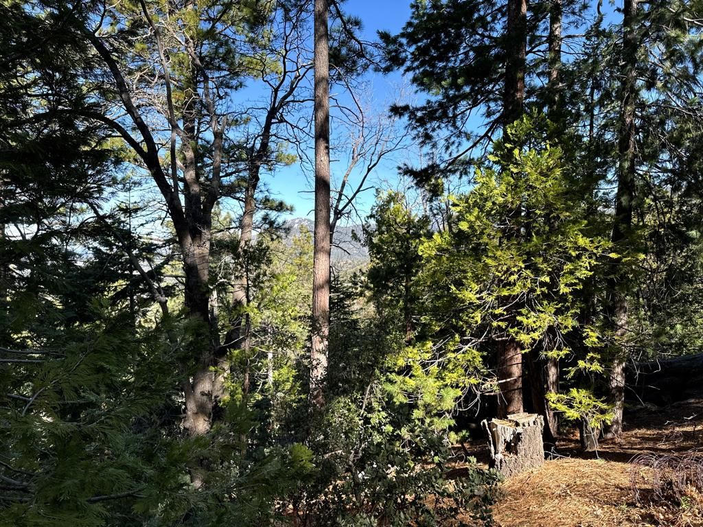 Image 17 of property listing at 0 Green Craig, Idyllwild, CA 92549